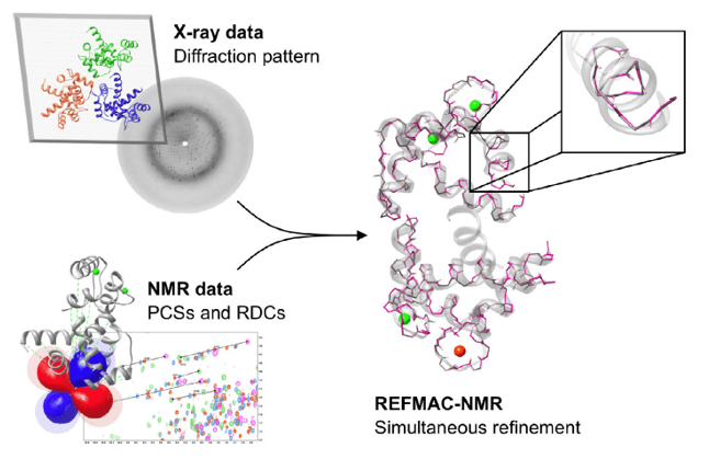 Information used in REFMAC-NMR structure refinement