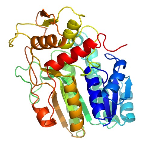Custom MemProTM Transmembrane Proteins with NAD (P)-binding Rossmann-fold Domains