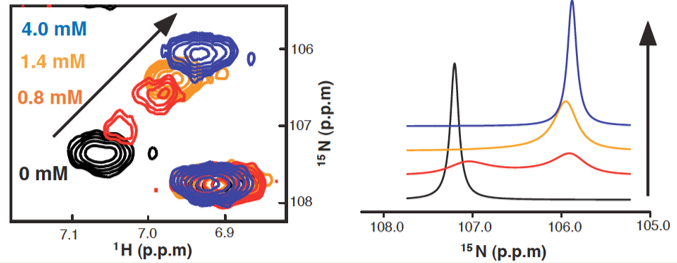 Figure 1. Titration of ligand into protein. Left, Chemical shift undergoing the transition from free to bound state. Right, 1D lineshape simulation of the spectrum.