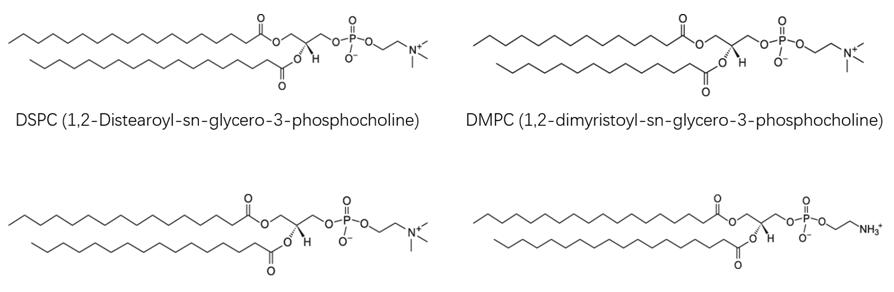 Lipids commonly used in liposome preparation