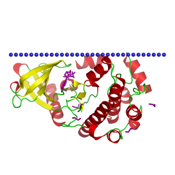 Mempro™ Cell-Based Protein Kinase Superfamily Production