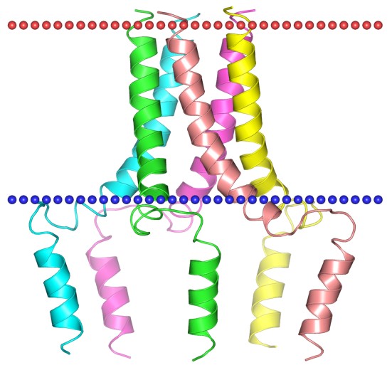 Mempro™ Cell-Based Single-helix ATPase Regulators Production