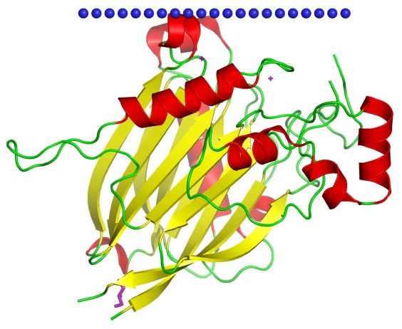 Mempro™ Cell-Free DNase I-like Protein Production