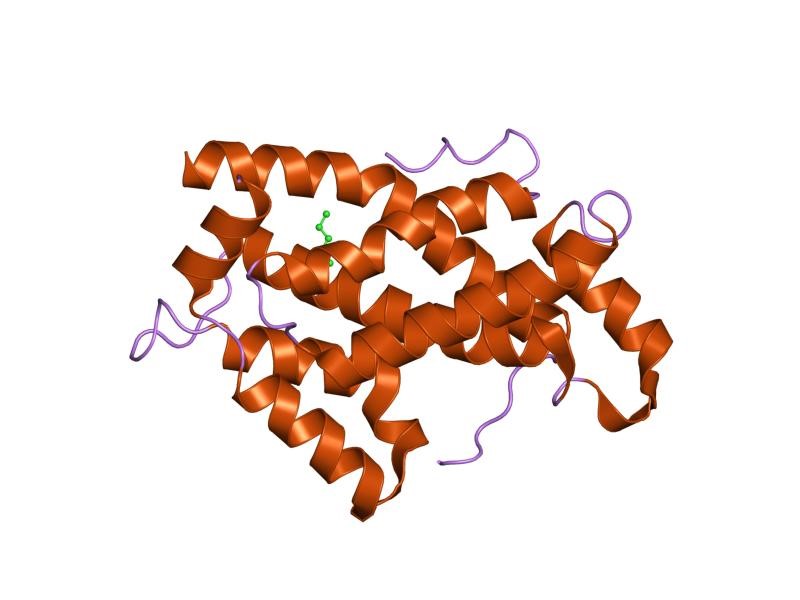 Mempro™ Cell-Free Glycolipid Transfer Protein Production