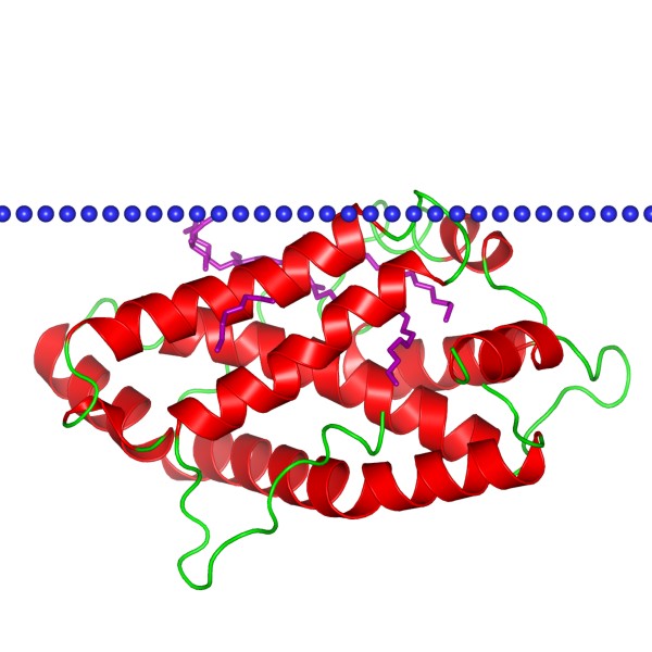 Mempro™ Glycolipid Transfer Protein Production Using Virus-Like Particles