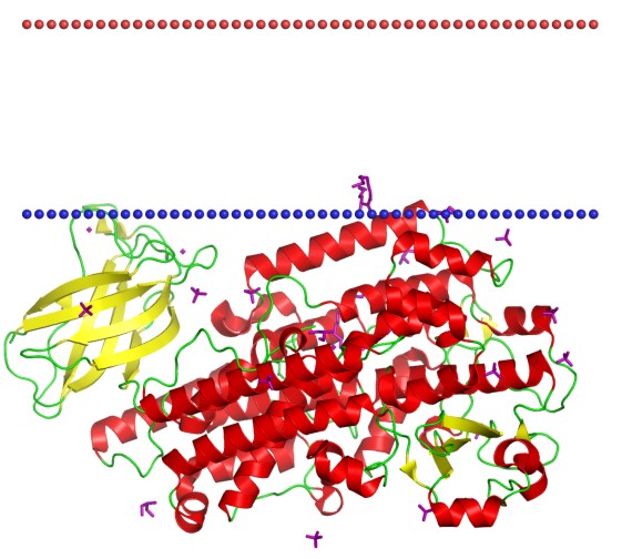 Mempro™ Lipoxygenase Production Using Virus-Like Particles
