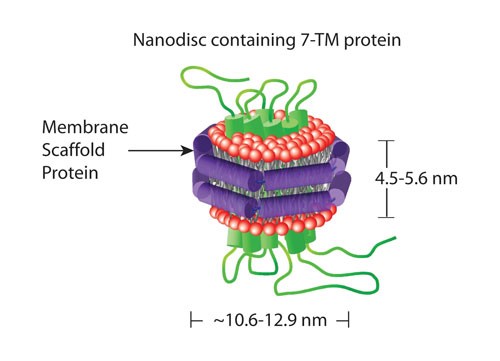 Mempro™ Membrane Protein Production in Nanodisc