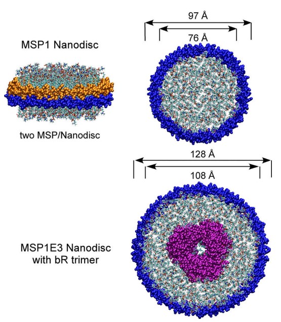Mempro™ Nanodisc Preparation Services