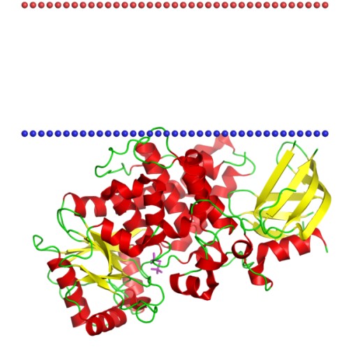 Mempro™ Phosphotyrosine Protein Phosphatases II Production Using Virus-Like Particles