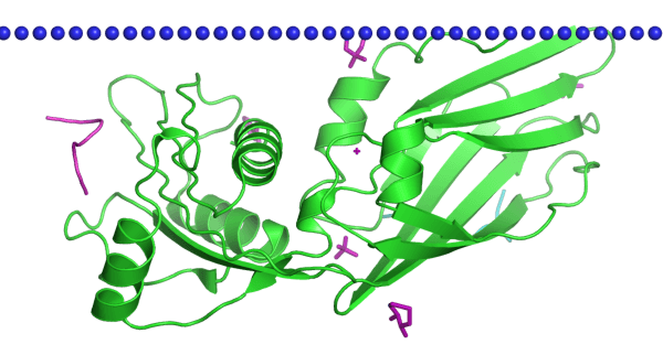 Mempro™ Immunoglobulin-Like Superfamily (E Set) Protein Production Using Virus-Like Particles