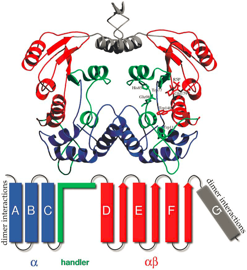 Custom MemPro? N-(deoxy)ribosyltransferase-like Membrane Proteins