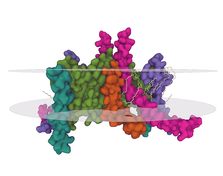 Membrane Protein Crystallization