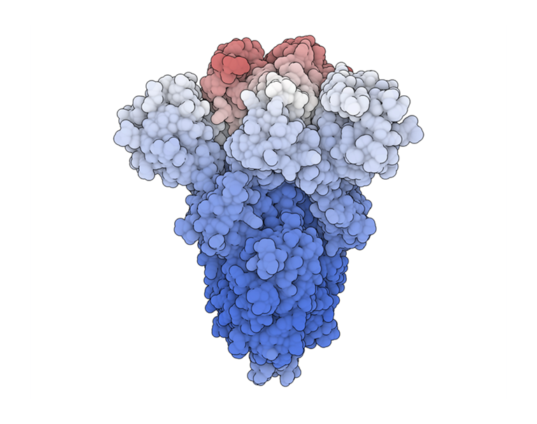 Viral Envelope Glycoprotein Crystallization