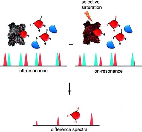 MagHelix? Saturation Transfer Differences (STD) NMR