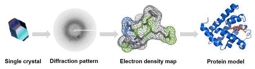 The process of single crystal X-ray diffraction technique