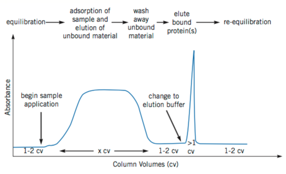 Figure 3. Illustration of a typical affinity purification. (Affinity Chromatography Principles and Methods, 18-1022-29)