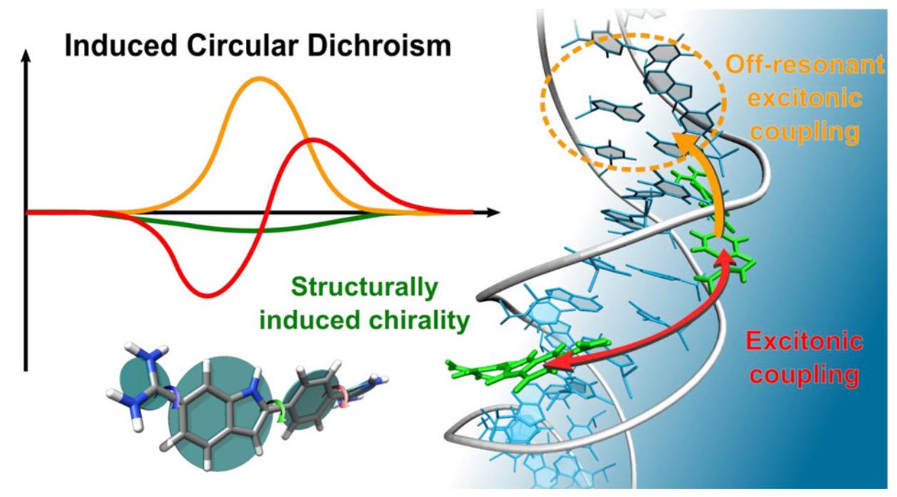 Circular dichroism application in DNA structure research.