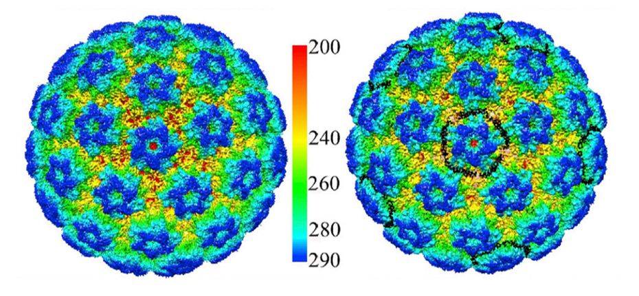 Cryo-EM Reconstruction of HPV16 and HPV16-Heparin.
