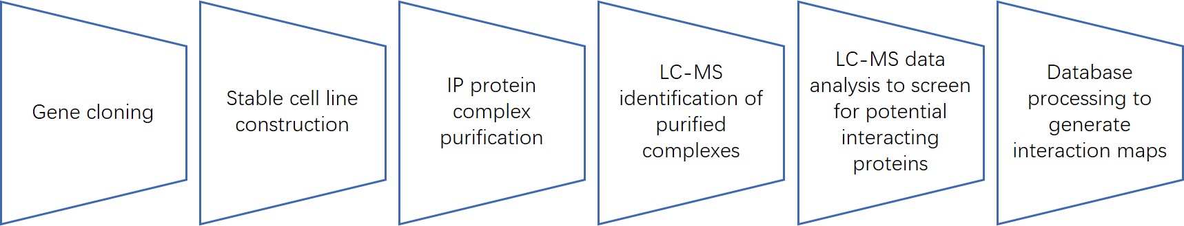 Combined IP and LC-MS to map protein interactions.