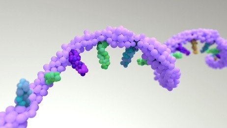 RNA Structure Characterization