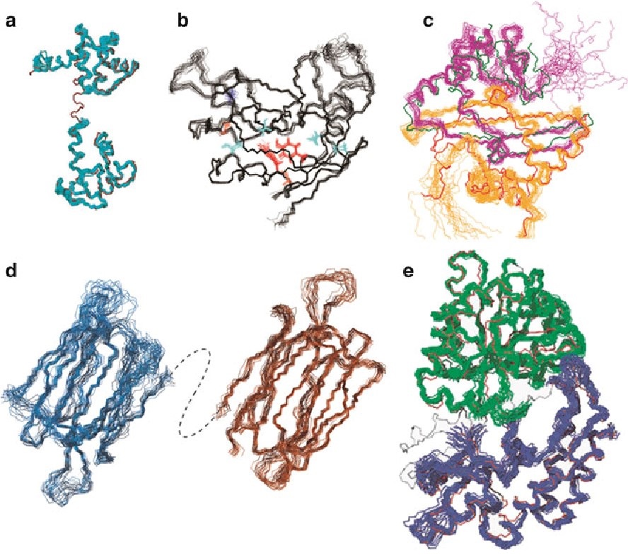 NMR structures of SAIL proteins.