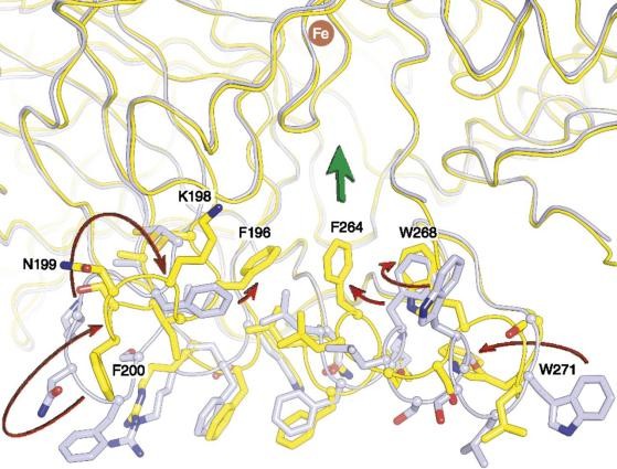 Conformational differences in the membrane-binding surface and active-site entrance observed between lipid-embedded and delipidated RPE65.