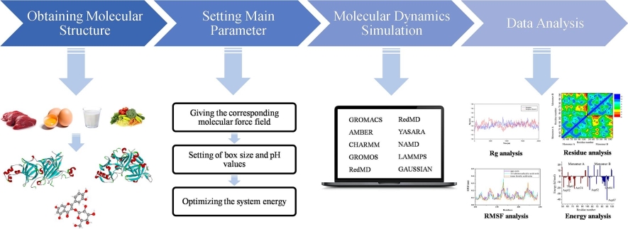 The molecular dynamics simulation process.