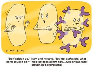 Plasmid and protein expression