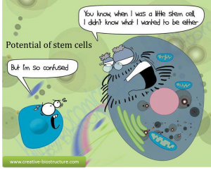 Science Jokes: Something Funny – Creative Biostructure Blog