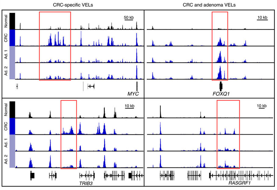 chip-seq-tracks