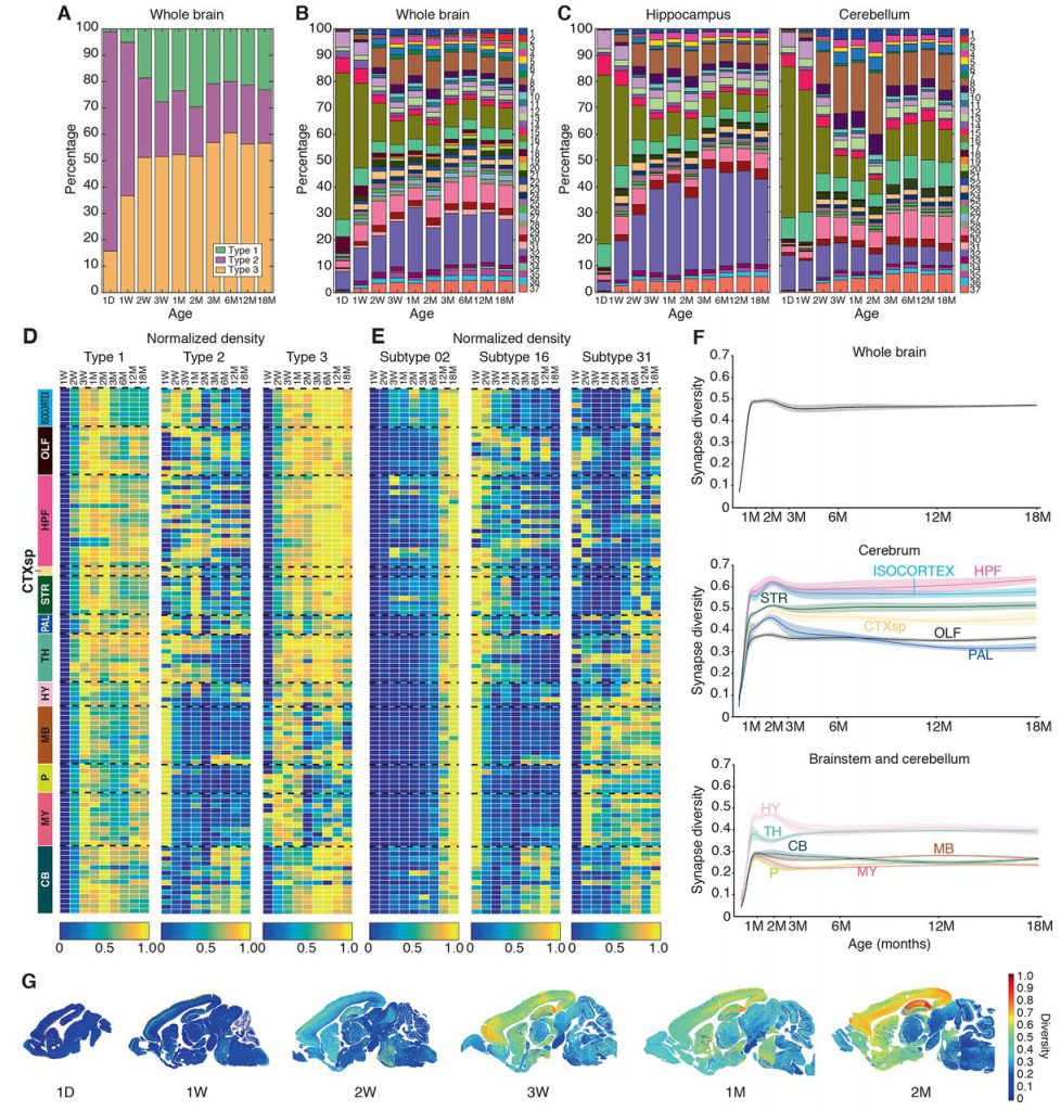 Edinburgh Molecular Imaging