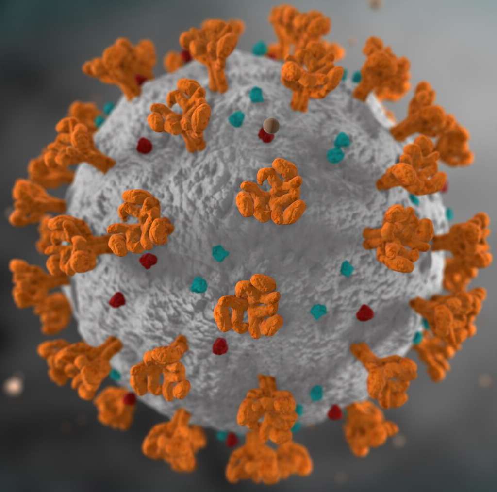 Brief Introduction to Coronavirus and SARS-CoV-2