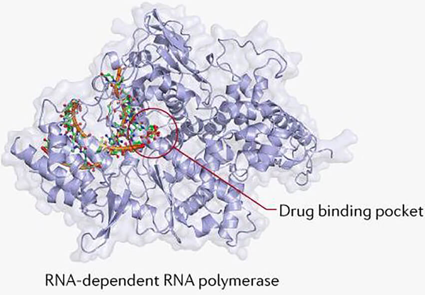 Brief Introduction to Drug Development for SARS-CoV-2