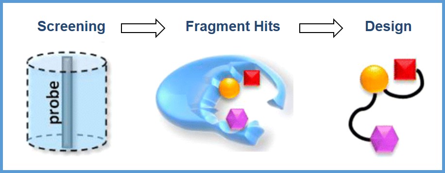 Fragment-based Drug Discovery (FBDD) for the Antiviral Drug Discovery of Coronavirus