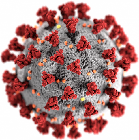 High-throughput Screening (HTS) for the Antiviral Drug Discovery of Coronavirus