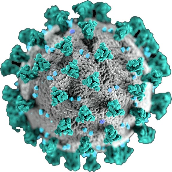 Hit to Lead for the Antiviral Drug Discovery of Coronavirus
