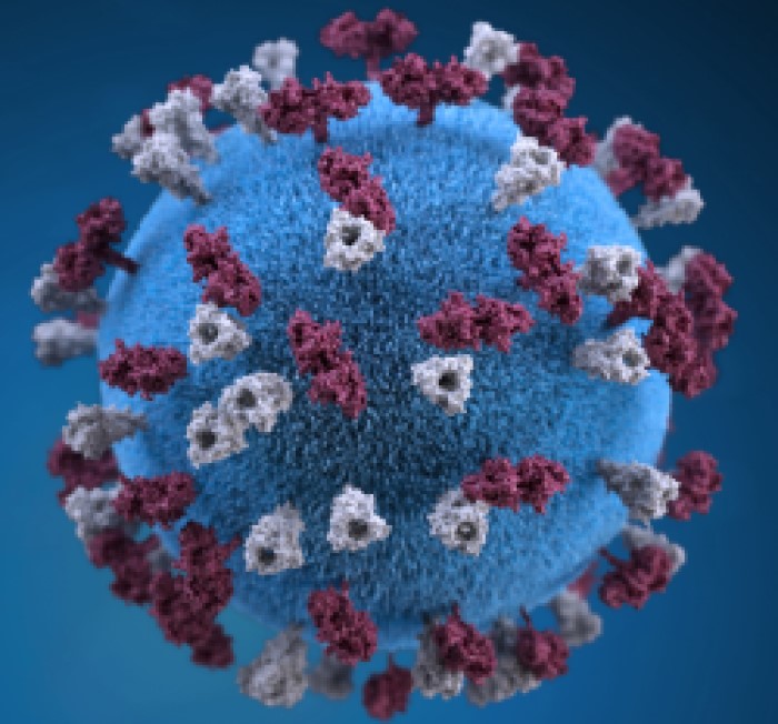 Application of Viral Metagenomic Analysis in Coronavirus Research