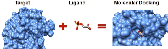 Molecular Docking