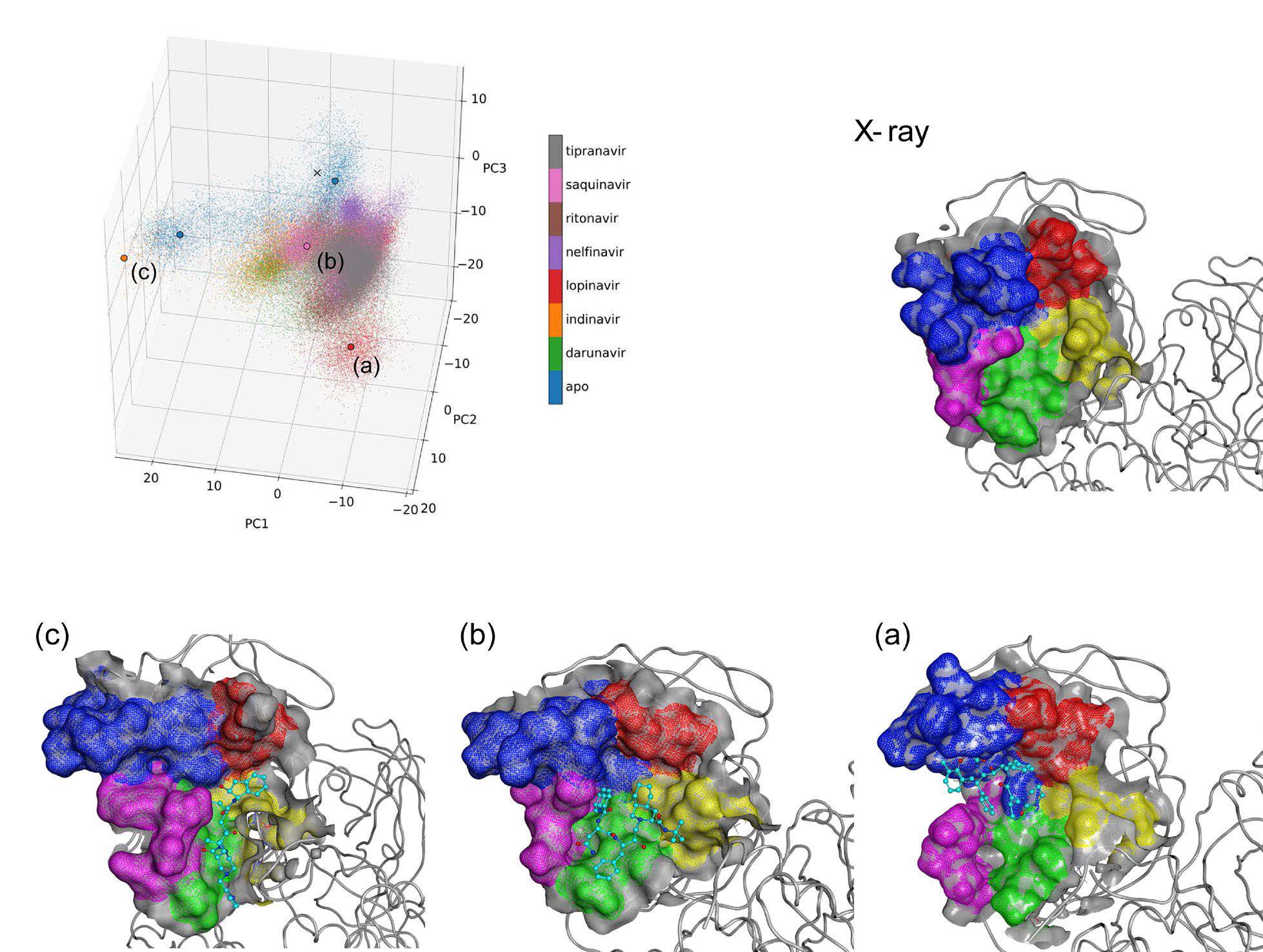Conformational diversity of the Mpro active site.