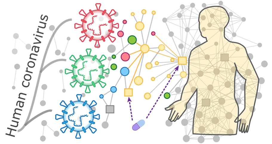 Schematic of PPI network analysis of human coronavirus.