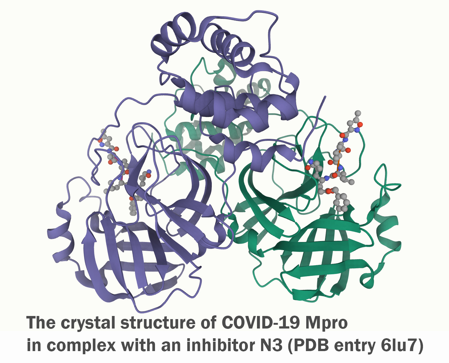 Brief Introduction to Coronavirus and SARS-CoV-2