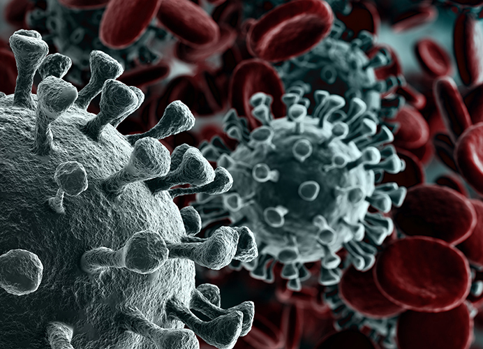 Protein Expression and Purification for Coronavirus Research