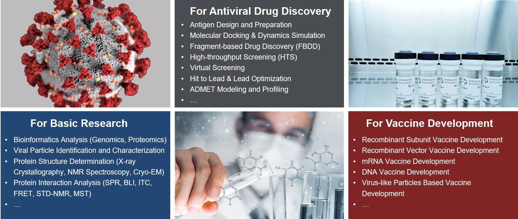 Our discovery platform for SARS-CoV-2/COVID-19.