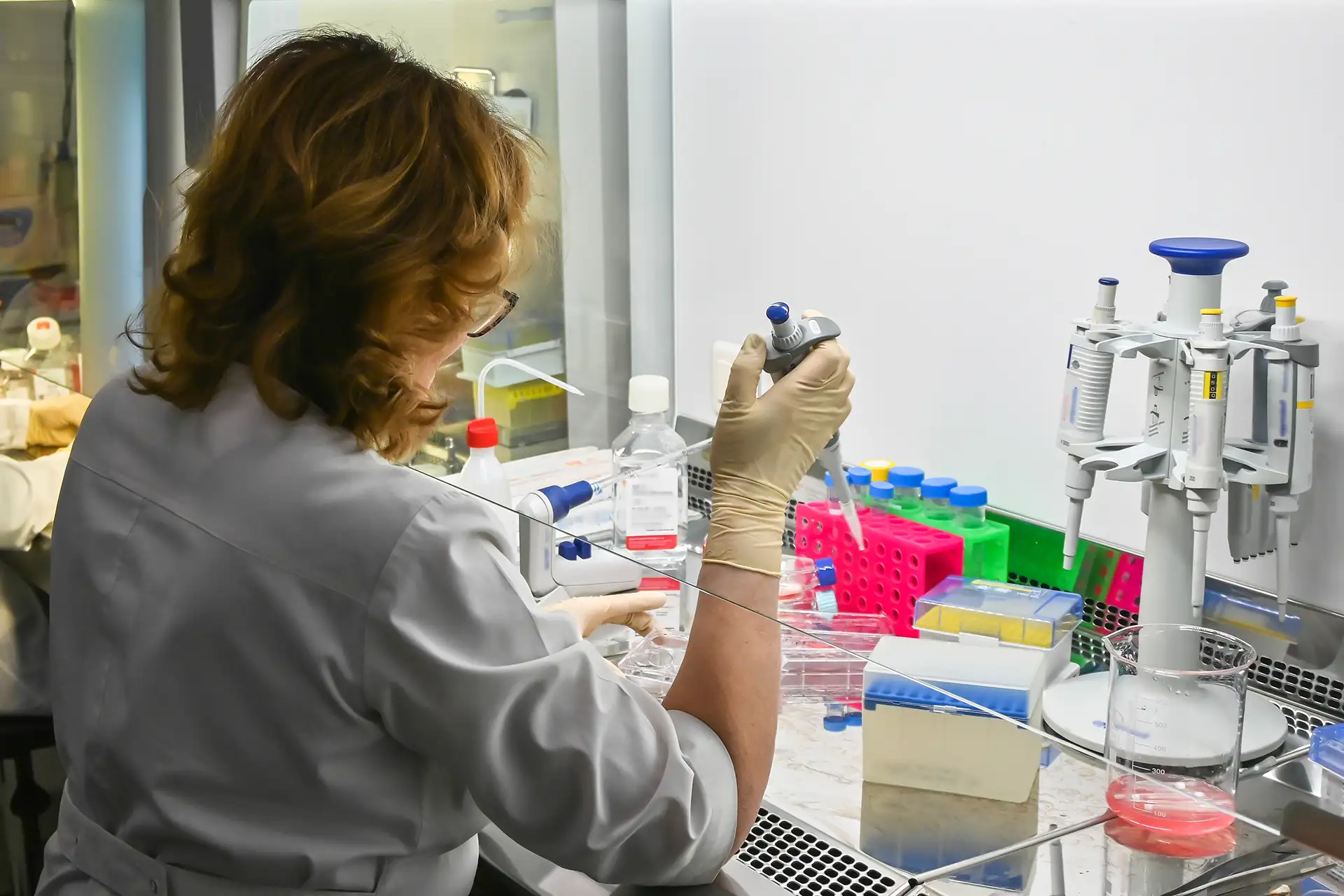 Scientist performing an experiment at a clean bench under sterile conditions in the laboratory environment.