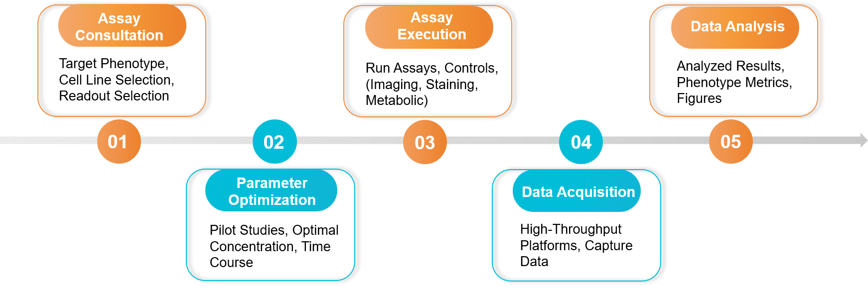 Five-step exosome cellular functional assay workflow.