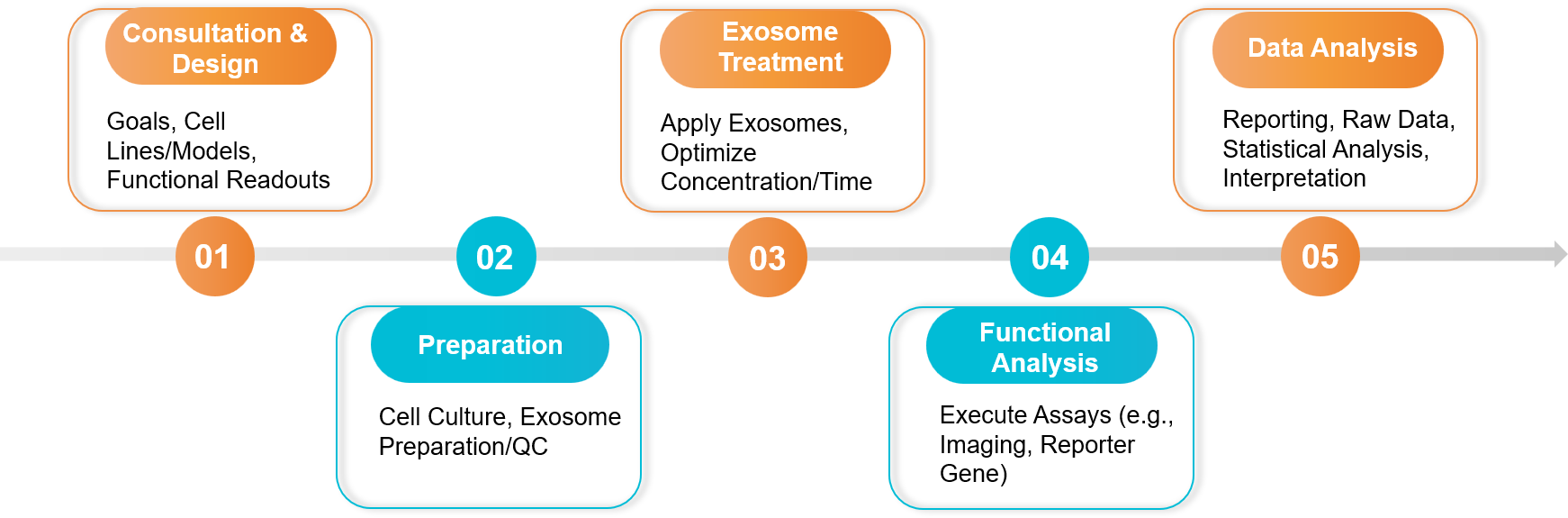 Five-step in vitro exosome functional assay workflow.