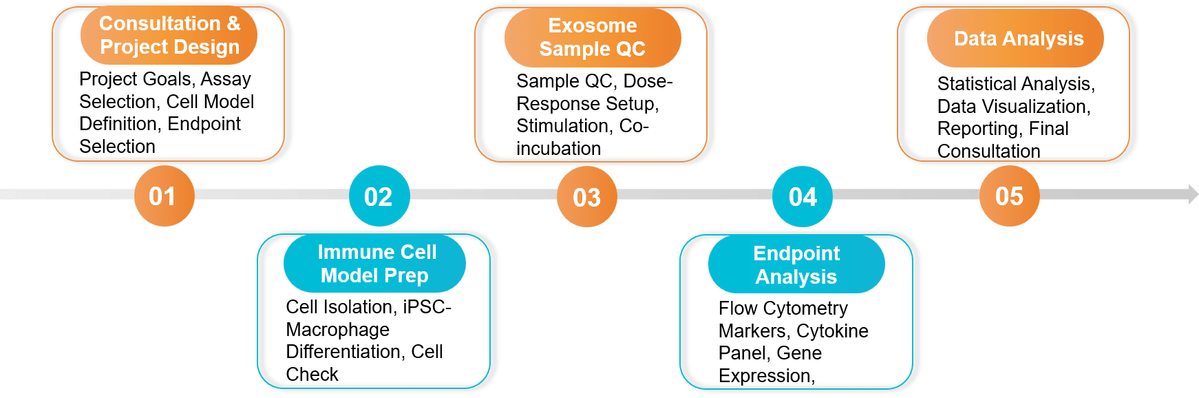 Five-step immunomodulation and inflammation assay workflow.