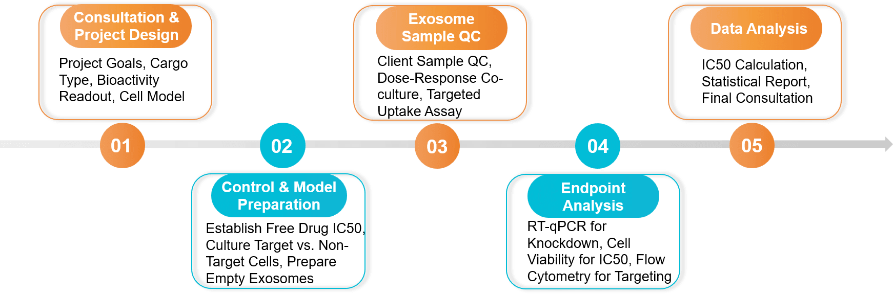 Five-step drug delivery and bioactivity validation service workflow.
