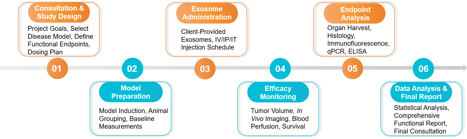 Six-step in vivo exosome functional assay service workflow.