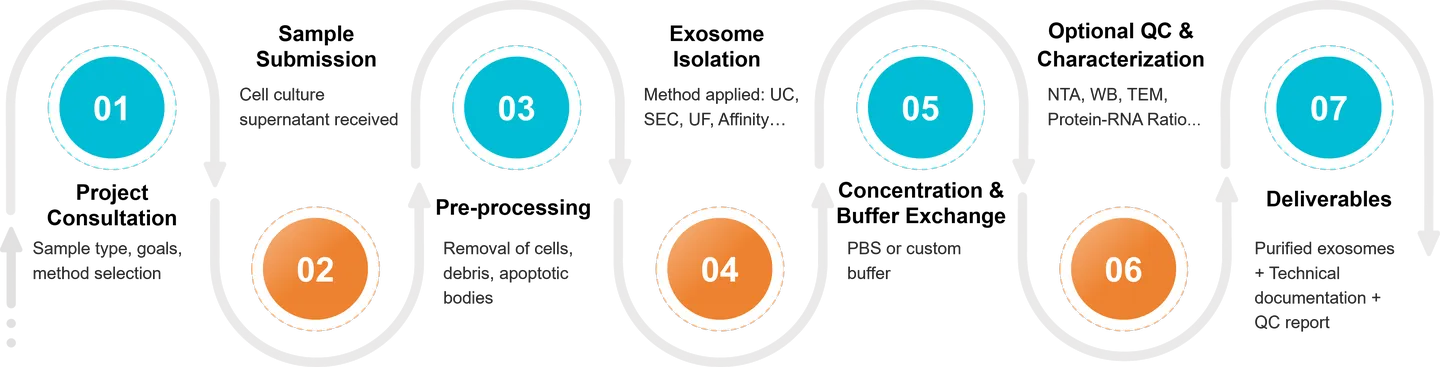 Workflow of exosome isolation from cell culture supernatants, from consultation to delivery of purified exosomes with QC report.